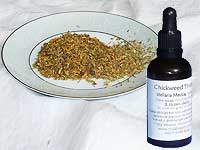 Chickweed 