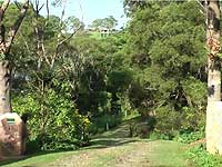 Driving through Middle Path