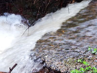 Stormwater erosion at Middle Path