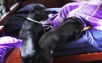 The Case of the Missing Husband